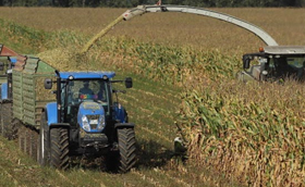 Veja os 22 cursos da área de Ciências Agrárias e Meio Ambiente