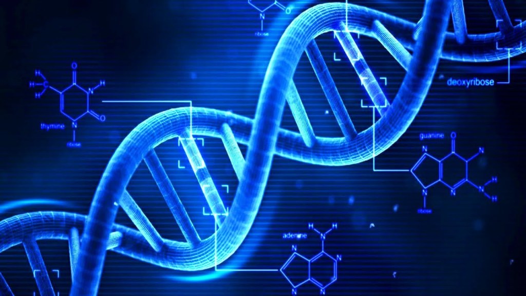 Relembre conceitos básicos sobre DNA e RNA