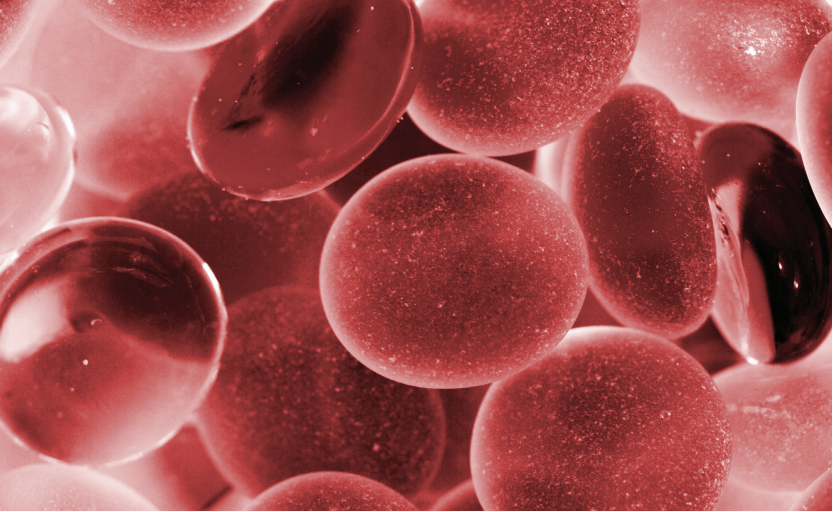 Genética: Tipos sanguíneos (sistema ABO e o fator Rh)