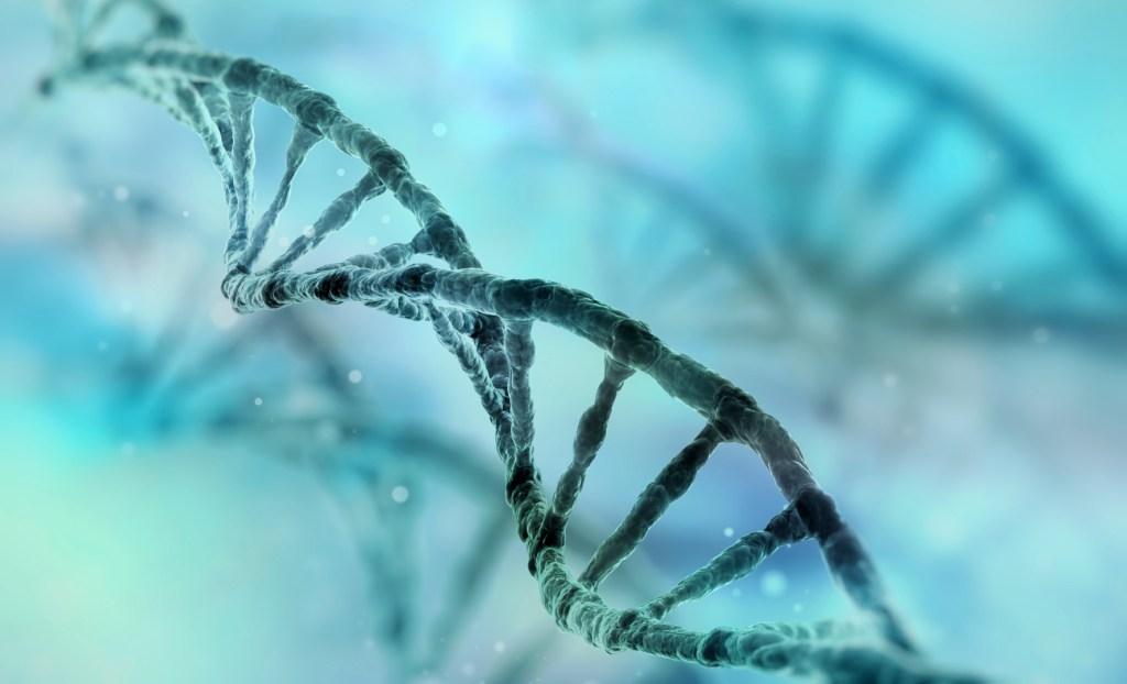 Citologia: DNA e RNA