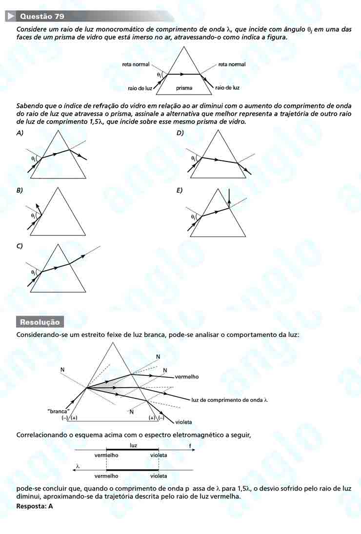Unesp 2011: Questão 79 – Primeira fase