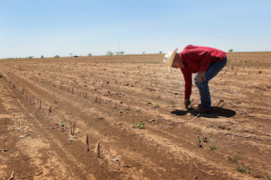 A tecnologia permite que a agricultura produza mais e melhor com cada vez menos trabalhadores. (Foto: Getty Images)