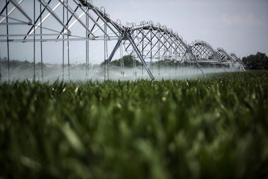 AGRONOMIA, PECUÁRIA E PESCA - Essas carreiras oferecem salários de R$3.933,85, jornada de trabalho de 41,95, taxa de ocupação de 91,92% e taxa de cobertura previdenciária de 85,20%. AGRONOMIA, PECUÁRIA E PESCA - Essas carreiras oferecem salários de R$3.933,85, jornada de trabalho de 41,95, taxa de ocupação de 91,92% e taxa de cobertura previdenciária de 85,20%.