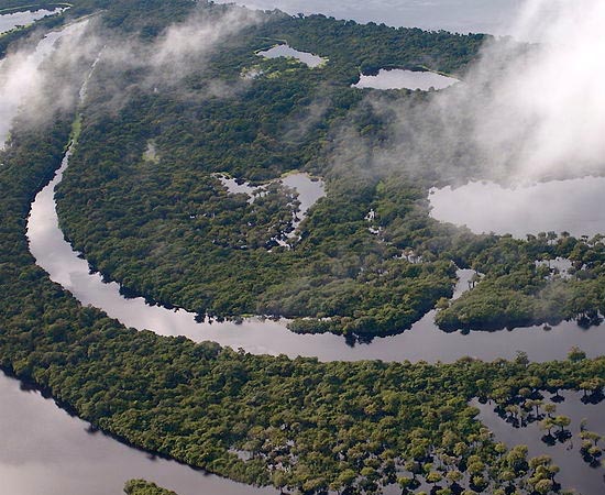 AMAZÔNIA - Estude as características do maior bioma do Brasil.