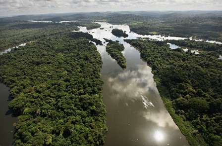 Instituto de Pesquisas da Amazônia oferece bolsas de pós-graduação