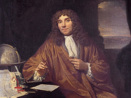 Alguns anos mais tarde, em 1674, o cientista holandês Anton van Leeuwenhoek deu mais um passo importante para a citologia. (Foto: Wikimedia Commons)