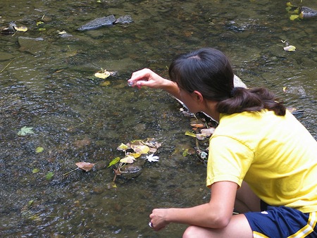 ÁREA AMBIENTAL: Nesse ramo, o profissional controla a qualidade da água, do solo e do ar em determinados ambientes.