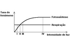 Resumo de biologia: Compensação fótica e fotoperiodismo