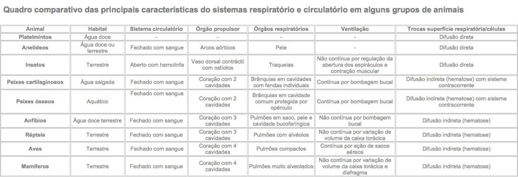 Resumo de biologia: Fisiologia Animal
