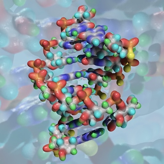 Unesp inscreve para bolsas de pós-doutorado em Biofísica Molecular