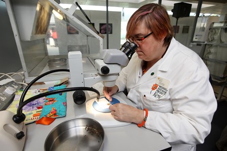 Unesp oferece oportunidade de bolsa de pós-doutorado em Física