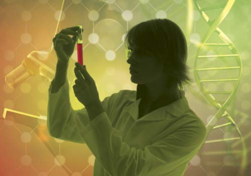 UPF tem inscrições abertas para pós-graduação em Bioexperimentação