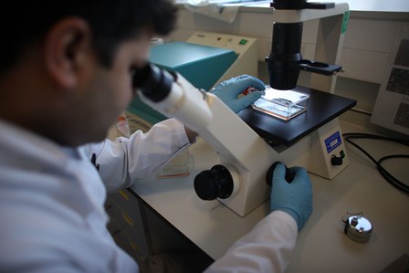 ICB-USP tem vaga de pós-doutorado em Ciências Biomédicas