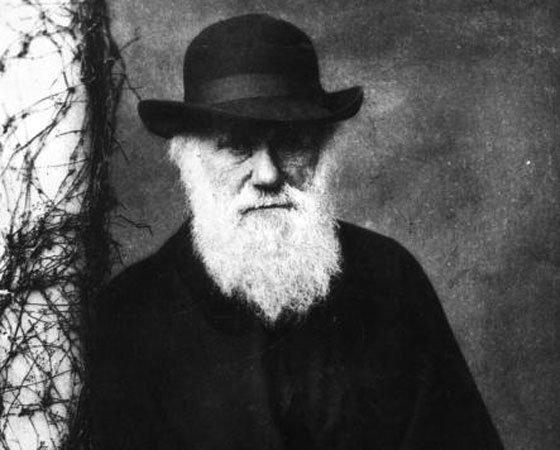 Evolução: Lamarck e Darwin