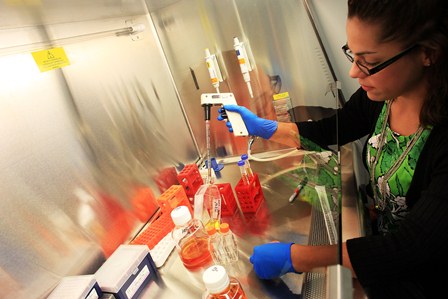 UPE inscreve para especialização em Hematologia