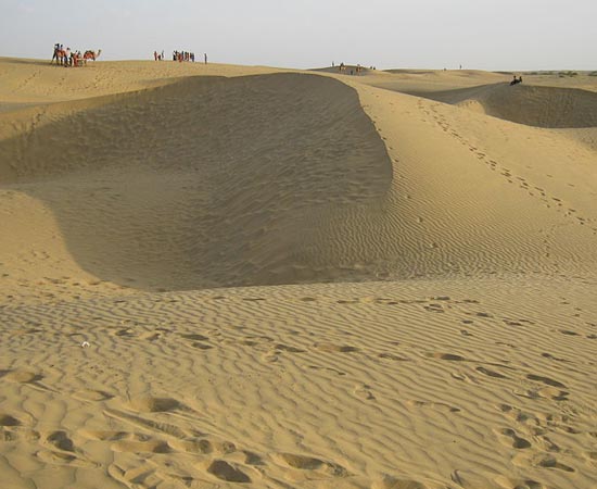 DESERTO - Estude sobre as características da vegetação.