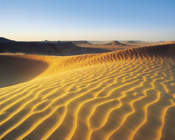<strong>Deserto - </strong>Esse tipo de formação vegetal é caracterizada pelo solo pedregoso, repleto de dunas. Nos desertos, a vegetação é esparsa e de poucas espécies. Como as regiões áridas têm índices pluviométricos abaixo dos 250 milímetros ao ano, as plantas são adaptadas à ausência de chuvas (os cactos, por exemplo, armazenam água). Nos desertos frios (em altas latitudes, como o da Patagôna, no sul da Am. do Sul), as temperaturas variam pouco durante o dia. Já os desertos quentes (como o do Atacama, no Chile, da Austrália e do Saara) ficam em regiões tropicais e, no decorrer do dia, apresentam grande variação de temperatura.