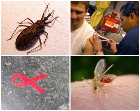 As patologias são um importante conteúdo da Biologia. Todos os anos, questões sobre diferentes doenças caem no Enem ou nos vestibulares em todo o país. Por isso, é importante estudar o funcionamento dos seus agentes patológicos e as formas de prevenção e combate. As patologias são um importante conteúdo da Biologia. Todos os anos, questões sobre diferentes doenças caem no Enem ou nos vestibulares em todo o país. Por isso, é importante estudar o funcionamento dos seus agentes patológicos e as formas de prevenção e combate.