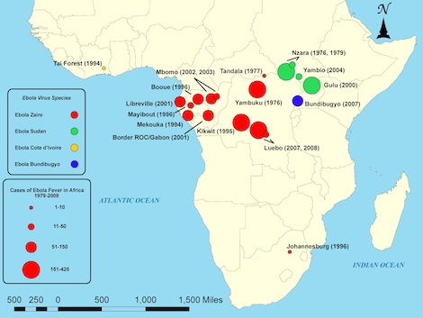 Com a propagação de uma perigosa epidemia na África, as chances da Ebola ser abordada em provas é muito grande. Essa febre emorrágica é a doença mais letal do mundo, matando cerca de 90% dos infectados. O contágio se dá através do contato com pessoas infectadas, estajam elas vivas ou mortas. Os sintomas são edemas, febre alta, sucessivas hemorragias, vômito, dor de cabeça e insuficiência hepática e renal. (Foto: Creative Commons) Com a propagação de uma perigosa epidemia na África, as chances da Ebola ser abordada em provas é muito grande. Essa febre emorrágica é a doença mais letal do mundo, matando cerca de 90% dos infectados. O contágio se dá através do contato com pessoas infectadas, estajam elas vivas ou mortas. Os sintomas são edemas, febre alta, sucessivas hemorragias, vômito, dor de cabeça e insuficiência hepática e renal. (Foto: Creative Commons)
