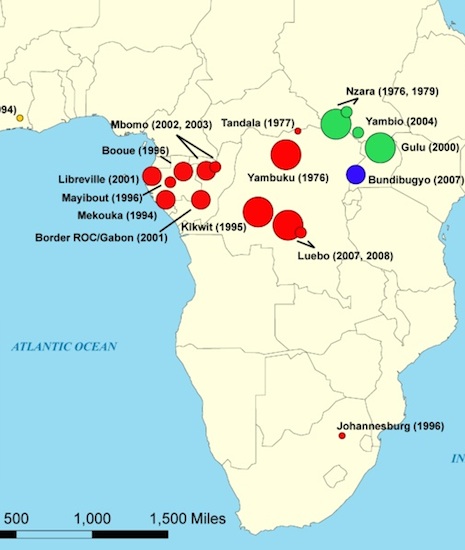 Existem cinco tipos de vírus para essa doença. Ebola-Zaire é o mais letal, com 83% de taxa de mortalidade. O Ebola Sudão tem 54%. Existem também os tipos Bundibugyo, Costa do Marfim e Reston, aquele que infectou os macacos nos Estados Unidos. (Foto: Wikimedia Commons)