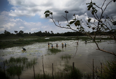 Unesp oferece oportunidade de pós-doutorado em Ecologia/Geociências