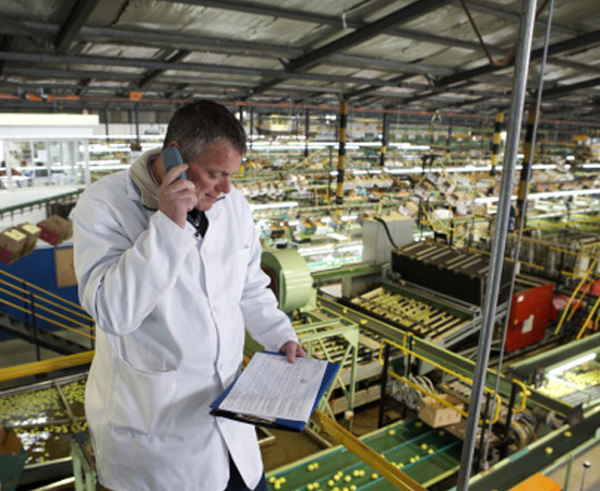 Engenharia de Alimentos - São as técnicas e os conhecimentos usados na fabricação, na conservação, no armazenamento e no transporte de alimentos industrializados.