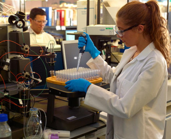 O que se estuda na faculdade de Engenharia Biomédica?