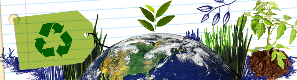 Para trabalhar com sustentabilidade, qual curso é melhor: Engenharia Química ou Ambiental?