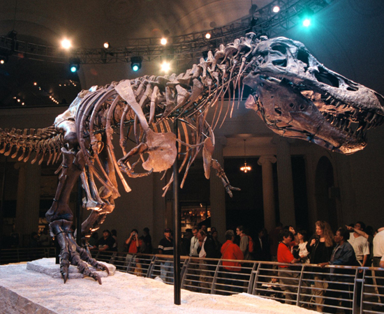 MESOZOICA - A era Mesozoica iniciou-se a cerca de 250 milhões de anos atrás, ela ficou marcada pelo intenso vulcanismo e consequente derrame de lavas em várias partes do globo. Também ficou caracterizada pelo processo de sedimentação dos fundos marinhos, que originou grande parte das jazidas petrolíferas hoje conhecidas. Outras características dessa era geológica são: divisão do grande continente da Pangeia, surgimento de grandes répteis, como, por exemplo, o dinossauro, surgimento de animais mamíferos, desenvolvimento de flores nas plantas. MESOZOICA - A era Mesozoica iniciou-se a cerca de 250 milhões de anos atrás, ela ficou marcada pelo intenso vulcanismo e consequente derrame de lavas em várias partes do globo. Também ficou caracterizada pelo processo de sedimentação dos fundos marinhos, que originou grande parte das jazidas petrolíferas hoje conhecidas. Outras características dessa era geológica são: divisão do grande continente da Pangeia, surgimento de grandes répteis, como, por exemplo, o dinossauro, surgimento de animais mamíferos, desenvolvimento de flores nas plantas.