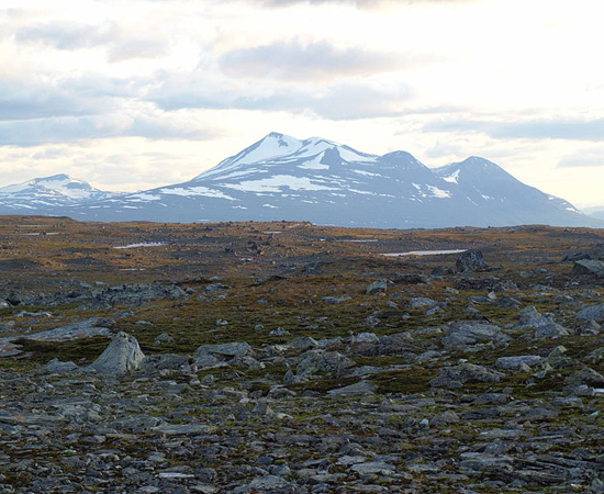 PALEOZOICA - A era Paleozoica durou de 550 a 250 milhões de anos atrás. Nesta época a superfície terrestre passou por grandes transformações, entre elas, o surgimento de conjuntos montanhosos como os Alpes Escandinavos. Essa era geológica também se caracteriza pela ocorrência de rochas sedimentares e metamórficas, formação de grandes florestas, glaciações, surgimento dos primeiros insetos e répteis. PALEOZOICA - A era Paleozoica durou de 550 a 250 milhões de anos atrás. Nesta época a superfície terrestre passou por grandes transformações, entre elas, o surgimento de conjuntos montanhosos como os Alpes Escandinavos. Essa era geológica também se caracteriza pela ocorrência de rochas sedimentares e metamórficas, formação de grandes florestas, glaciações, surgimento dos primeiros insetos e répteis.