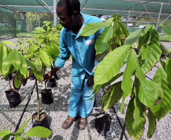 UERR oferece mestrado em Agroecologia