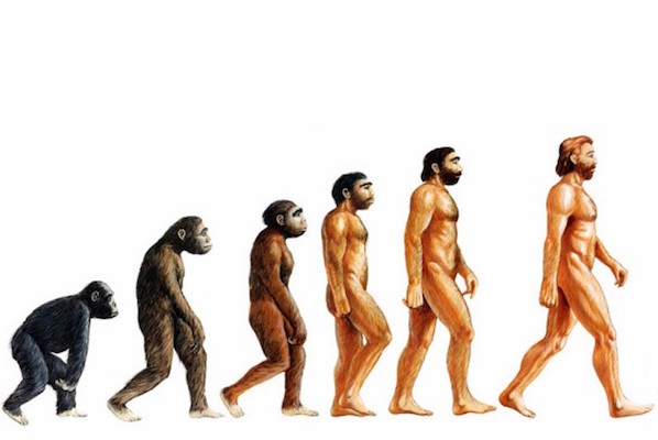 A evolução é a mudança que ocorre com características hereditárias de uma determinada população através das gerações. Depois de um longo período, esse processo faz com que as espécies mudem ou deem origem a novas espécies.