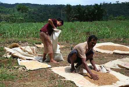 Conheça as características e transformações das estruturas produtivas, como o escravismo antigo, feudalismo, capitalismo e socialismo.