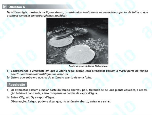 Fuvest 2012: Questão 5 (segunda fase) – conhecimentos específicos – prova de biologia