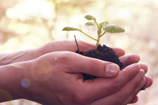 UPE oferece Mestrado em Ciência e Tecnologia Ambiental