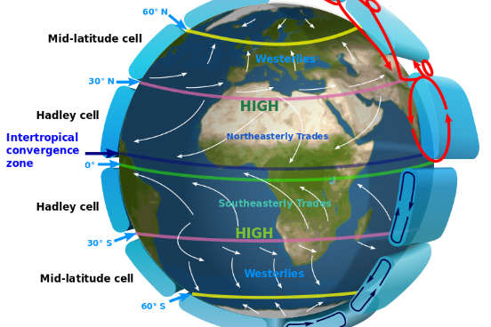 O deslocamento das massas de ar frio dos trópicos, zonas de alta pressão, para a região do Equador, zona de baixa pressão, ocasiona os chamados ventos alísios. Ao chegarem na região equatorial, esses ventos aquecem, sobem e acabam se condensando e precipitando - o que leva à grande umidade das zonas próximas à linha do Equador. Devido ao efeito Coriólis, ocasionado pela rotação da Terra, os ventos alísios sopram no sentido anti-horário entre os trópicos no hemisfério sul e no sentido horário entre os trópicos no hemisfério norte. (Imagem: Wikimedia Commons)