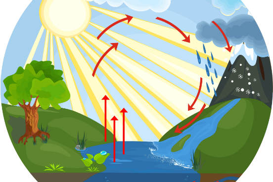 Ecologia: Ciclos biogeoquímicos (água, carbono e nitrogênio)