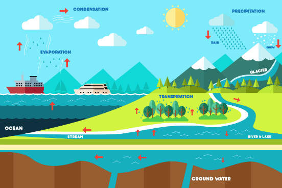 Já no ciclo longo da água, além das etapas do ciclo curto, os seres vivos também participam desse processo, consumindo a água por ingestão (animais), absorção cutânea ou por raízes (plantas). Eles liberam a água novamente para o meio ambiente por meio da transpiração, respiração, fezes, urina e por processos de decomposição. (Imagem: iStock) Já no ciclo longo da água, além das etapas do ciclo curto, os seres vivos também participam desse processo, consumindo a água por ingestão (animais), absorção cutânea ou por raízes (plantas). Eles liberam a água novamente para o meio ambiente por meio da transpiração, respiração, fezes, urina e por processos de decomposição. (Imagem: iStock)