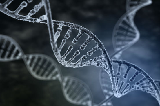 O DNA contém as informações genéticas de todos os seres vivos e de alguns vírus. Assim, todas as características hereditárias são transmitidas devido a essa molécula. Cada indivíduo possui uma sequência única de nucleotídeos que formam o DNA, o que além de caracterizar a espécie garante a individualidade do organismo.