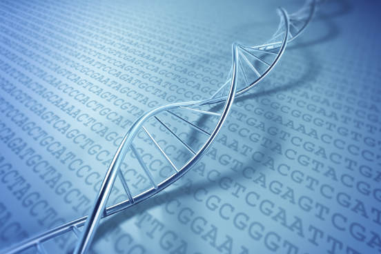 Além de carregar as informações genéticas, o DNA é capaz de sofrer mutações, o que leva a uma troca dinâmica dessas informações ao longo do tempo. Ainda, as informações genéticas do DNA servem para que as células fabriquem proteínas - que, por sua vez, definem as características celulares e do próprio organismo.
