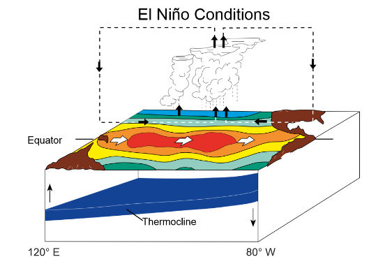 O El Niño é provocado pela diferença de temperatura nas águas do oceano Pacífico e pela redução dos ventos alísios na região equatorial. O resultado disso é a diminuição da ressurgência das águas profundas do oceano, o que faz com que as águas na costa oeste da América do Sul fiquem mais quentes. Apesar de acontecer no Oceano Pacífico, os efeitos do El Niño podem ser sentidos por todo o mundo. (Imagem: Wikimedia Commons) O El Niño é provocado pela diferença de temperatura nas águas do oceano Pacífico e pela redução dos ventos alísios na região equatorial. O resultado disso é a diminuição da ressurgência das águas profundas do oceano, o que faz com que as águas na costa oeste da América do Sul fiquem mais quentes. Apesar de acontecer no Oceano Pacífico, os efeitos do El Niño podem ser sentidos por todo o mundo. (Imagem: Wikimedia Commons)