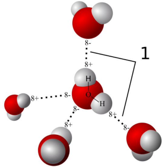 Caso extremo de força dipolo-dipolo, as ligações de hidrogênio acontecem em moléculas que possuem átomos de hidrogênio ligados a átomos de flúor, oxigênio ou nitrogênio. Isso porque esses átomos de F, O e N são, ao mesmo tempo, muito eletronegativos e pequenos - o que faz com que as ligações polares estabelecidas entre eles e o H sejam muito fortes.