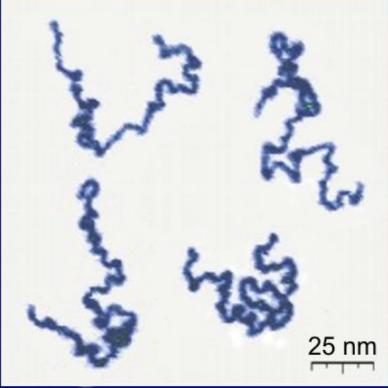 O número de monômeros identificados na estrutura de uma macromolécula servem também para se saber o grau de polimerização do polímero. Ou seja, o número de unidades estruturais repetidas em um polímero é o chamado grau de polimerização dele. A imagem mostra a aparência real de macromoléculas vistas através de um microscópio atômico. (Imagem: Wikimedia Commons)