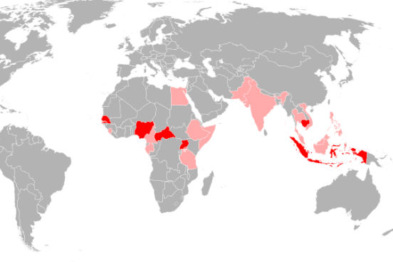 Já foram registradas outras duas epidemias do zika vírus: na Micronésia, em 2007, e na Polinésia Francesa, em 2013. A imagem (com dados de 2013) mostra, em vermelho, os países onde o vírus foi encontrado isolado em humanos, e em rosa onde anticorpos contra o vírus foram demonstrados em humanos. (Imagem: Wikimedia Commons)