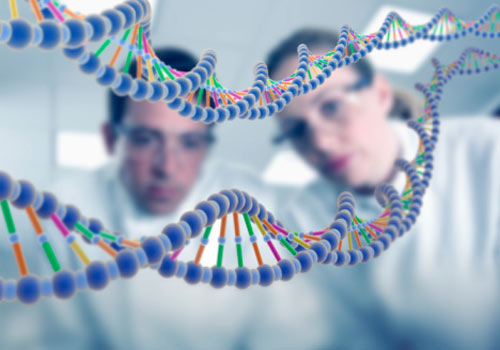 Genética: As leis de Mendel