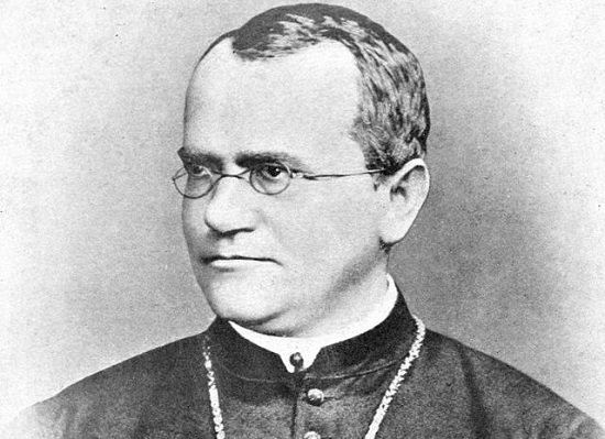 A base da teoria genética clássica são as famosas Leis de Mendel. Foi o padre Gregor Mendel que descobriu, por meio do cruzamento entre diferentes tipos de ervilhas, os genes, elementos hereditários e os conceitos de genes recessivos (que tendem a ser mais raros em uma população) e dominantes (que tendem a se manifestar mais vezes dentro de uma população) (Foto: Creative Commons) A base da teoria genética clássica são as famosas Leis de Mendel. Foi o padre Gregor Mendel que descobriu, por meio do cruzamento entre diferentes tipos de ervilhas, os genes, elementos hereditários e os conceitos de genes recessivos (que tendem a ser mais raros em uma população) e dominantes (que tendem a se manifestar mais vezes dentro de uma população) (Foto: Creative Commons)