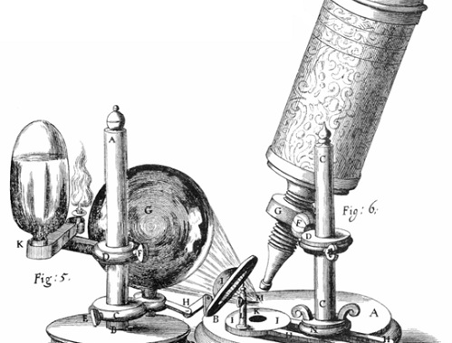 Para isso, ele usou uma espécie de microscópio primitivo, que foi fundamental para a publicação da obra mais importante do pesquisador, o livro  Micrographia. (Foto: Wikimedia Commons)