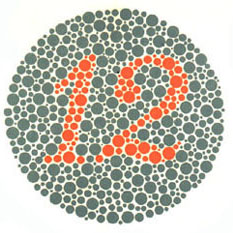 Todas as pessoas devem ver o número 12 nesse quadro. <a href="https://guiadoestudante.abril.com.br/vestibular/noticias/descobrir-daltonismo-pode-melhorar-vida-escolar-545415.shtml" target="_blank">Leia mais sobre daltonismo</a>.