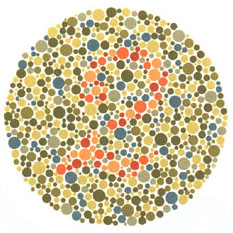 Quem tem visão normal vê o número 2. A maioria dos daltônicos não vê nada ou uma imagem equivocada. <a href="https://guiadoestudante.abril.com.br/vestibular/noticias/descobrir-daltonismo-pode-melhorar-vida-escolar-545415.shtml" target="_blank">Leia mais sobre daltonismo</a>.