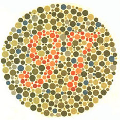Quem tem visão normal vê o número 97. A maioria dos daltônicos não vê nada ou uma imagem equivocada. <a href="https://guiadoestudante.abril.com.br/vestibular/noticias/descobrir-daltonismo-pode-melhorar-vida-escolar-545415.shtml" target="_blank">Leia mais sobre daltonismo</a>.